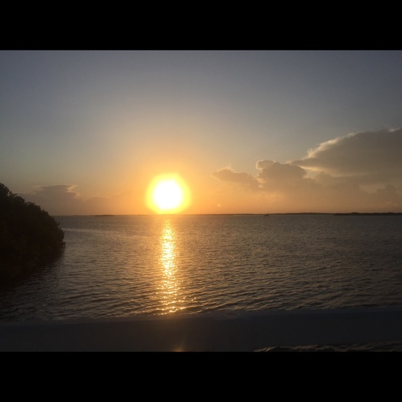 Meet your Posher, Emily - Picture 1 of 1